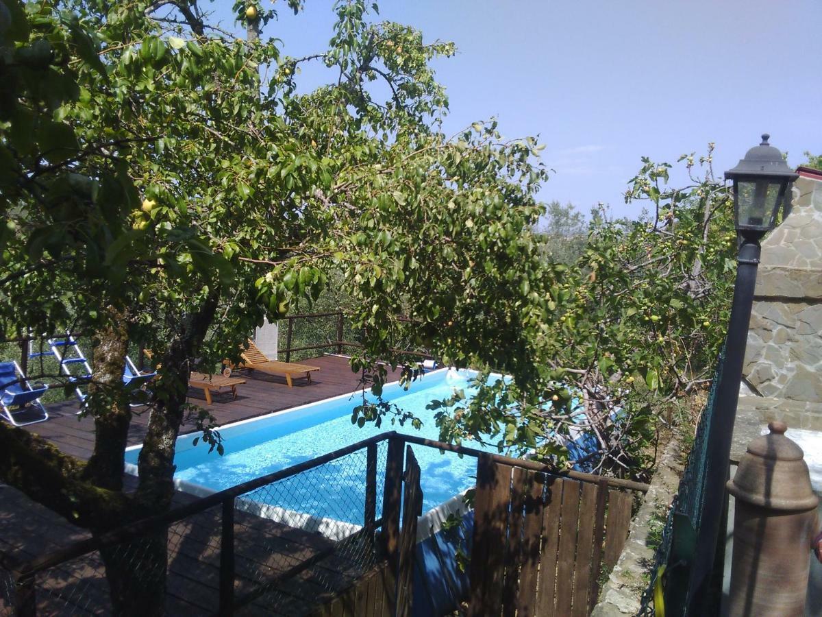 Гостевой дом Country House Near Флоренция Экстерьер фото
