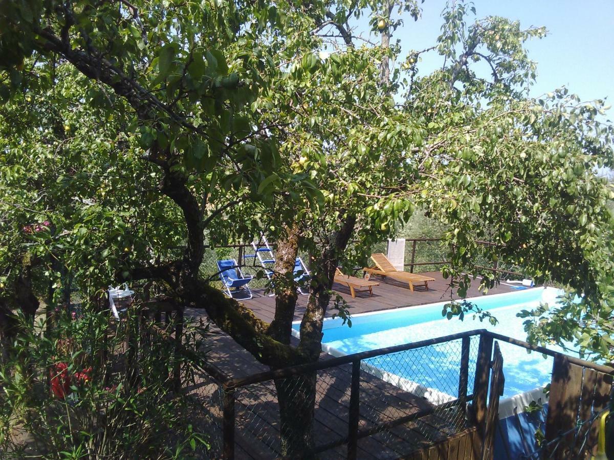 Гостевой дом Country House Near Флоренция Экстерьер фото